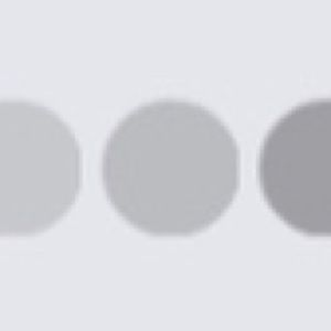 Meet your Posher, Bailey